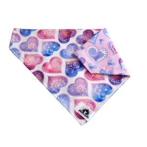 Foulard 2 en 1 pour chien moyen - StV030