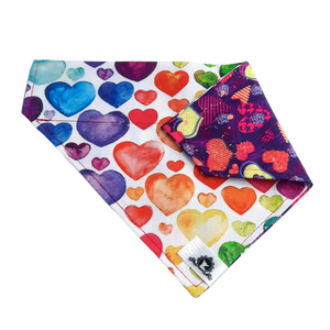 Foulard 2 en 1 pour chien moyen - StV033