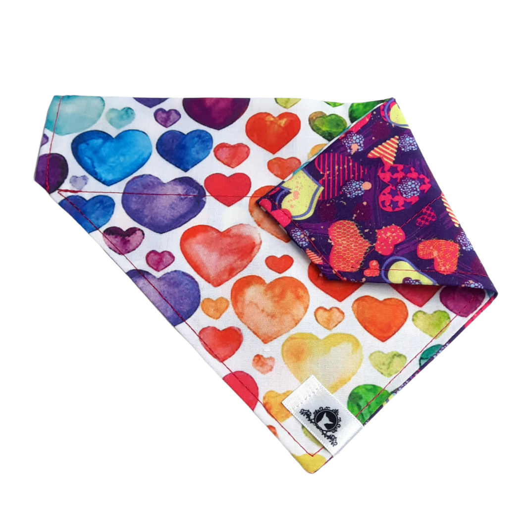 Foulard 2 en 1 pour chien moyen - StV033