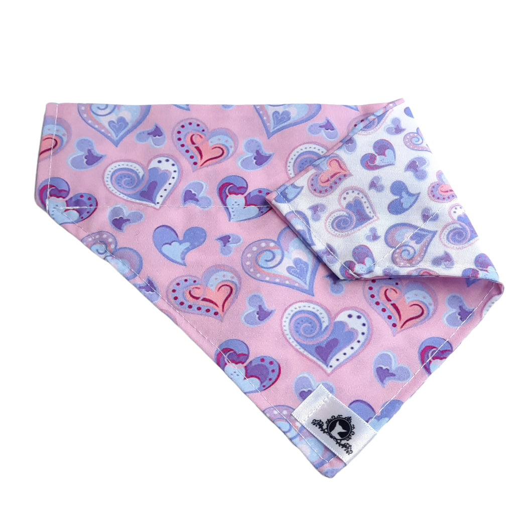 Foulard 2 en 1 pour chien moyen - StV043