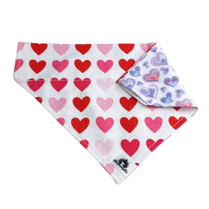 Foulard 2 en 1 pour chien moyen - StV041