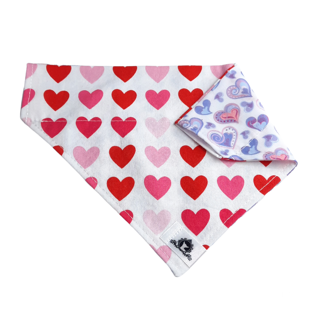 Foulard 2 en 1 pour chien moyen - StV041