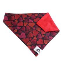 Charger l&#39;image dans la galerie, Foulard 2 en 1 pour grand chien - StV001
