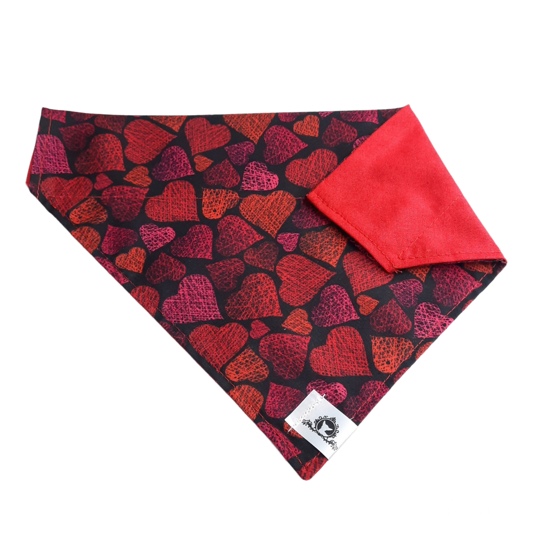 Foulard 2 en 1 pour grand chien - StV001