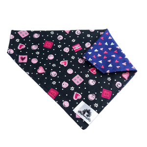 Foulard 2 en 1 pour grand chien - StV026