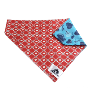 Foulard 2 en 1 pour grand chien - StV031