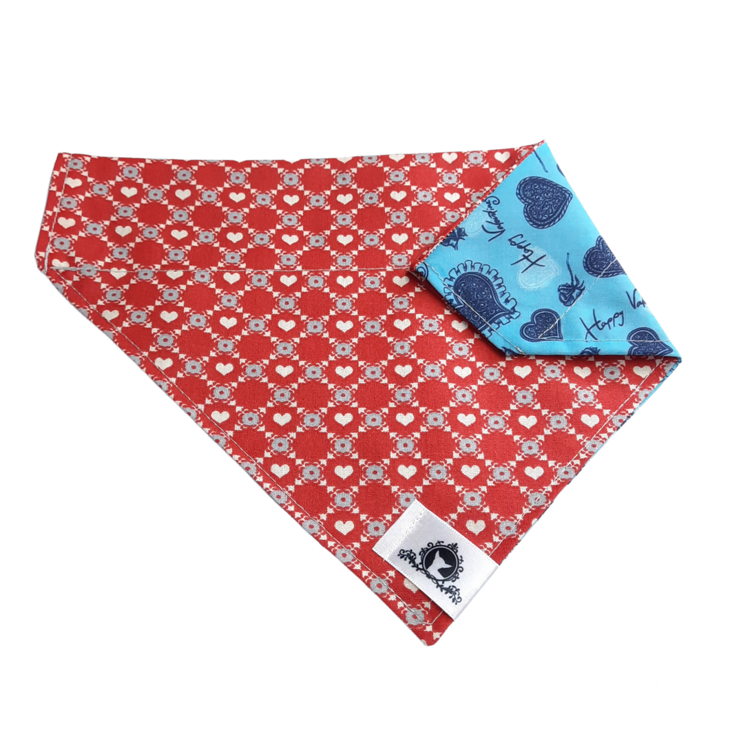 Foulard 2 en 1 pour grand chien - StV031