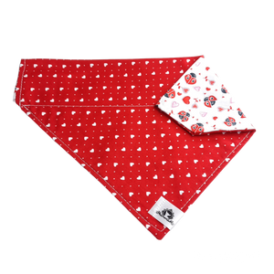 Foulard 2 en 1 pour grand chien - StV008