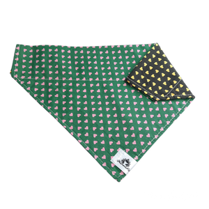 Foulard 2 en 1 pour grand chien - StV005