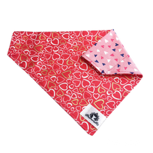 Charger l&#39;image dans la galerie, Foulard 2 en 1 pour grand chien - StV025
