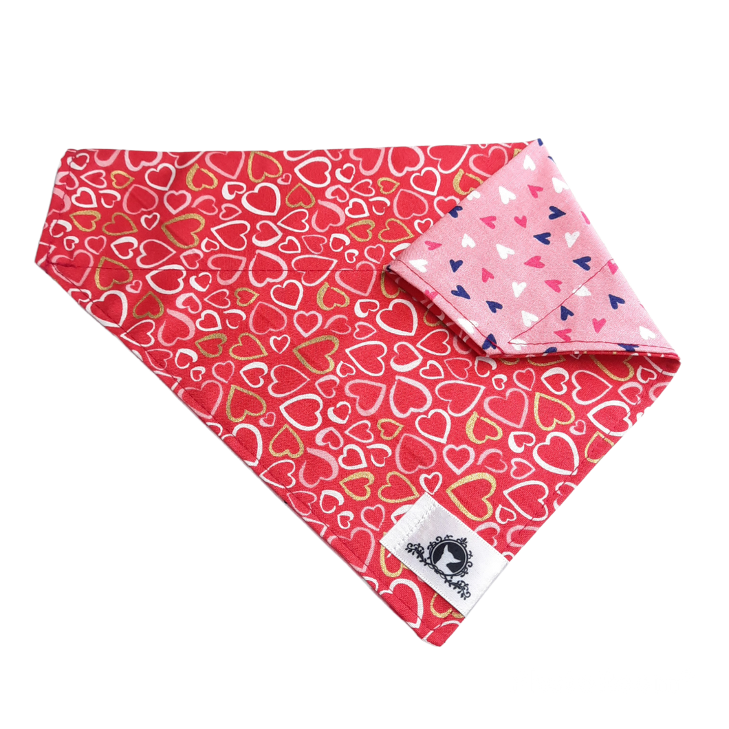 Foulard 2 en 1 pour grand chien - StV025