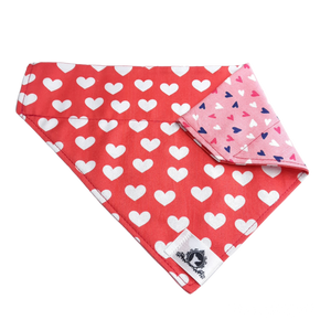 Foulard 2 en 1 pour grand chien - StV027