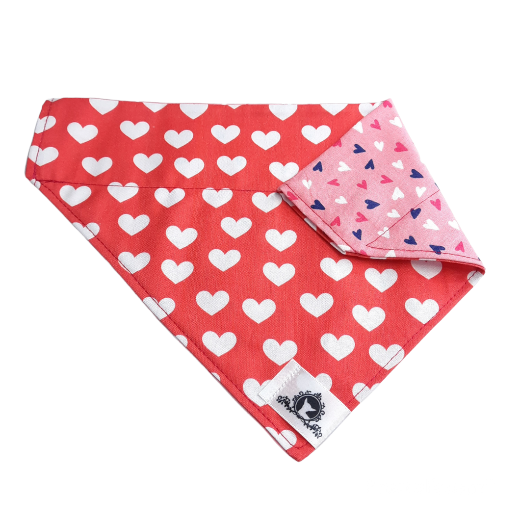 Foulard 2 en 1 pour grand chien - StV027