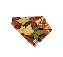 Charger l&#39;image dans la galerie, Foulard 2 en 1 pour chien moyen - Automne A003
