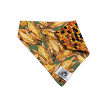 Charger l&#39;image dans la galerie, Foulard 2 en 1 pour chat et petit chien - Automne A008
