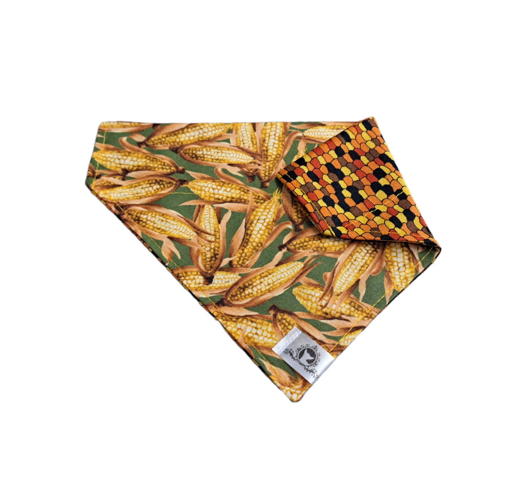 Foulard 2 en 1 pour chien moyen - Automne A008