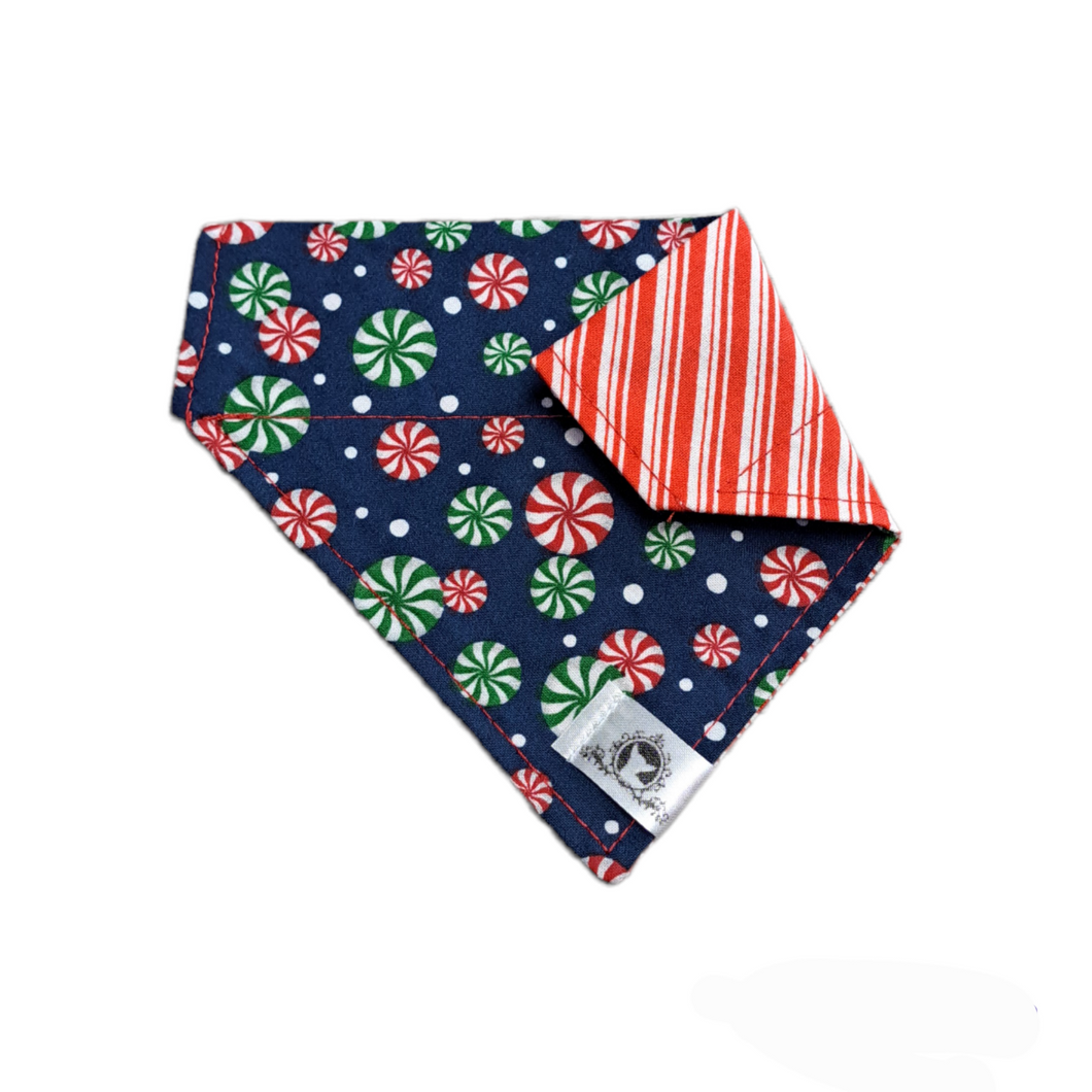 Foulard 2 en 1 pour chat et petit chien pour Noël - N024