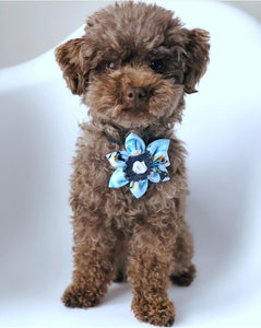 Fleur pour chien ou chat - no 53