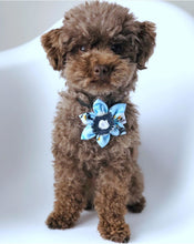 Charger l&#39;image dans la galerie, Fleur pour chien ou chat - no 81
