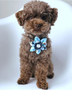 Fleur pour chien ou chat - no 164