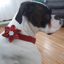 Charger l&#39;image dans la galerie, Fleur pour chien ou chat - Féérie de Noël - no 128
