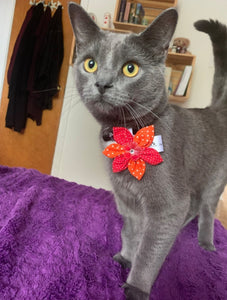 Fleur pour chien ou chat - StV022