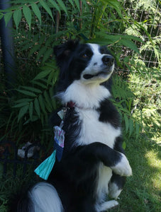 Porte-sac à déchets pour chien – Poop sac – Fleuri rose