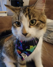 Charger l&#39;image dans la galerie, Foulard 2 en 1 pour chat et petit chien - StV028
