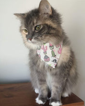 Charger l&#39;image dans la galerie, Foulard 2 en 1 pour chat et petit chien - StV027
