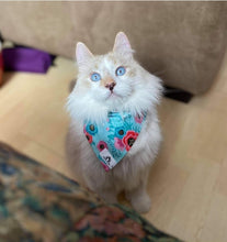 Charger l&#39;image dans la galerie, Foulard 2 en 1 pour chat et petit chien - StV028
