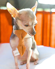 Charger l&#39;image dans la galerie, Cravate 2 en 1 - 4 po - Volutes dorées de Noël
