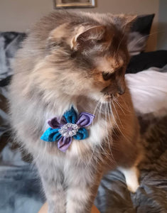 Fleur pour chien ou chat - no 162